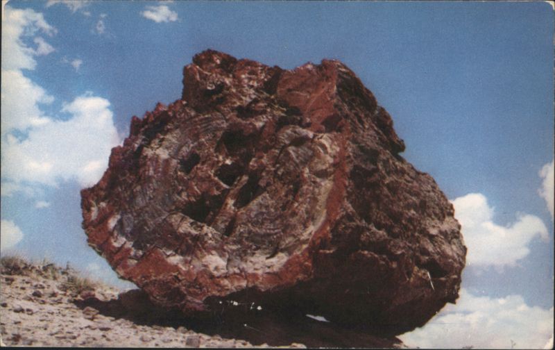 Large Petrified Log in Petrified Forest National Monument, Arizona