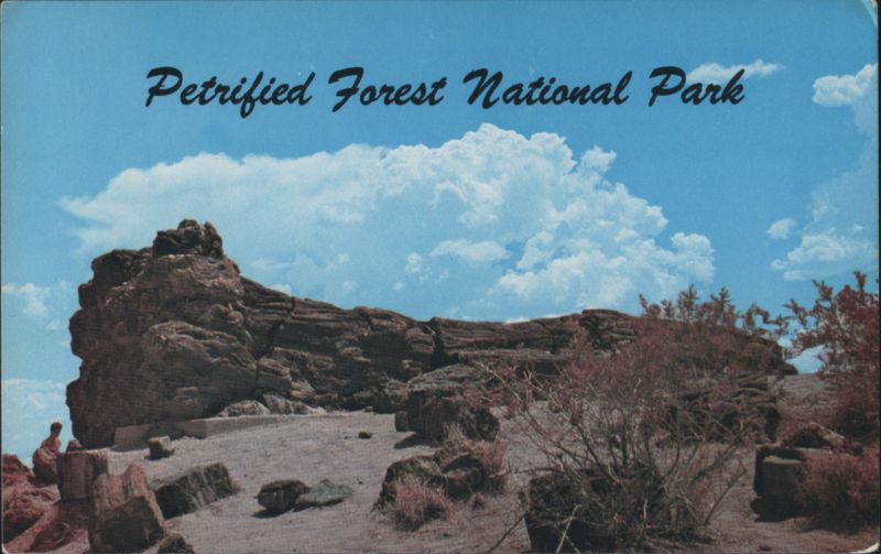 Old Faithful, Petrified Forest National Park Arizona