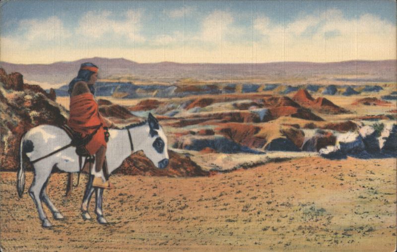 Hopi Indian and Burro at Painted Desert Donkeys