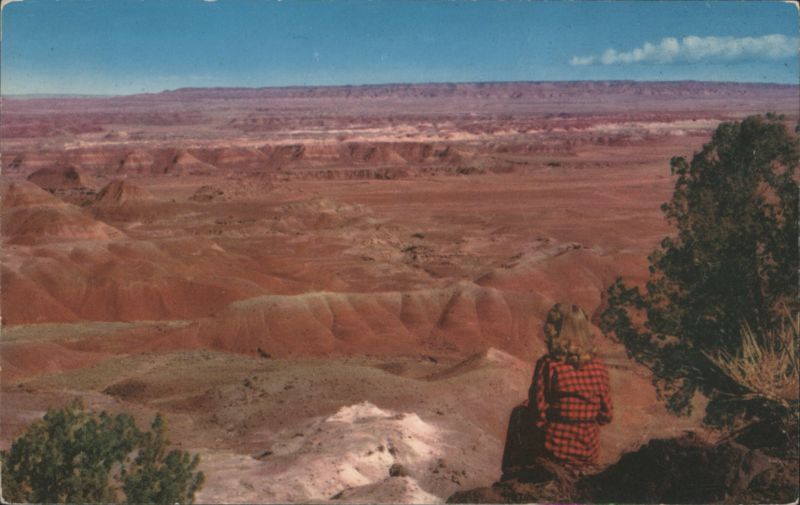 The Painted Desert National Monument in Northern Arizona