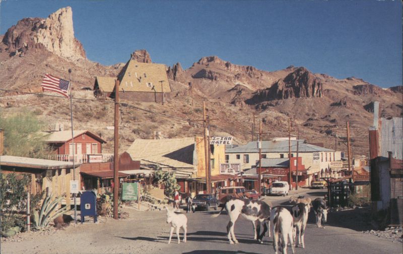 Oatman, Arizona Daniel Stewart