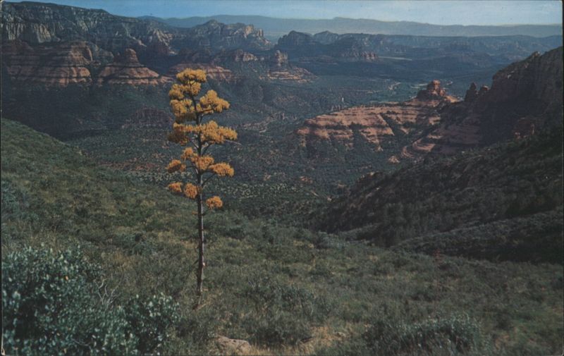 Oak Creek Canyon, Arizona Sedona Bob Bradshaw