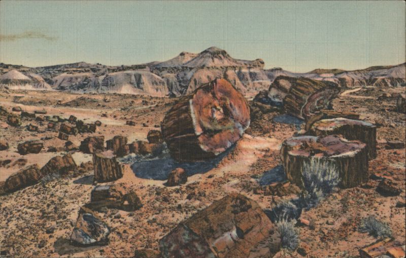 Petrified Forest, Arizona Holbrook