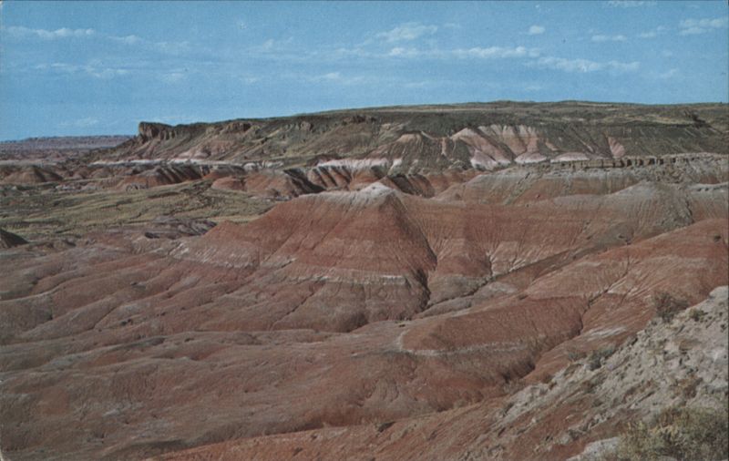 The Painted Desert, East of Winslow, Arizona The Taylors