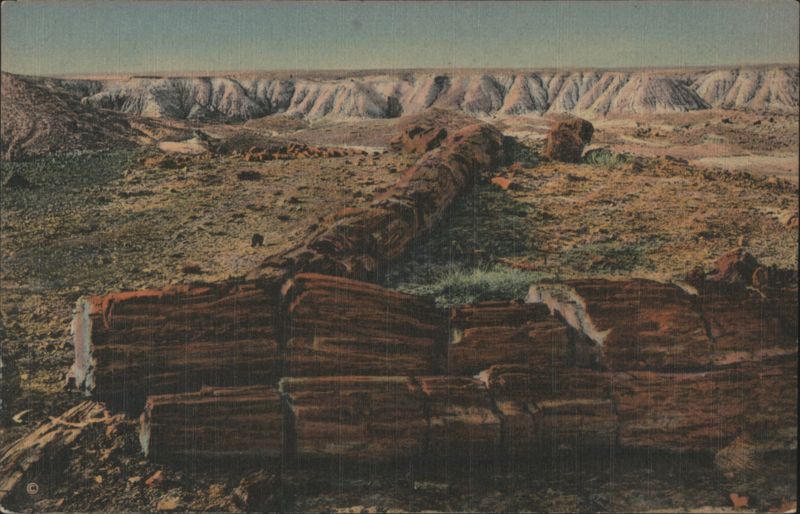 The Twin Sisters (In Second Forest) Petrified Forest, Arizona Petrified Forest National Park