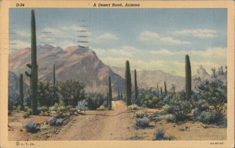 A Desert Road, Arizona