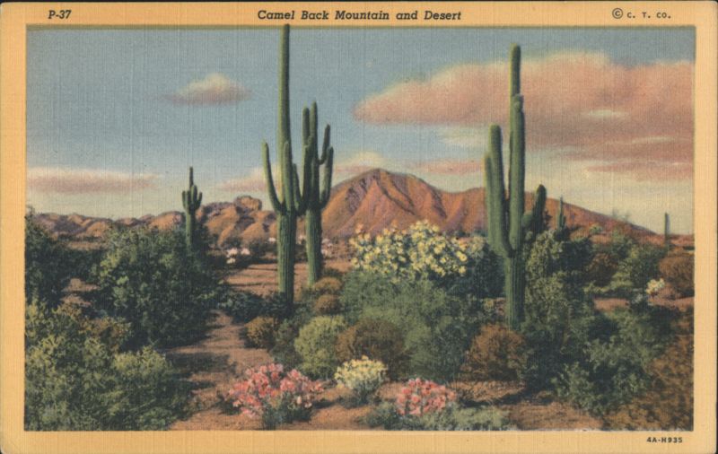 Camel Back Mountain and Desert Tucson Arizona