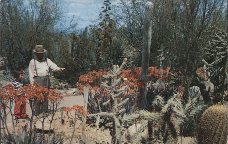 Desert Botanical Garden, Arizona Bob Van Luchene Cactus & Desert Plants