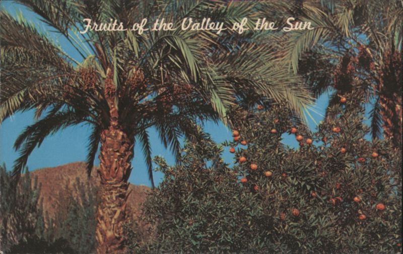 Fruits of the Valley of the Sun