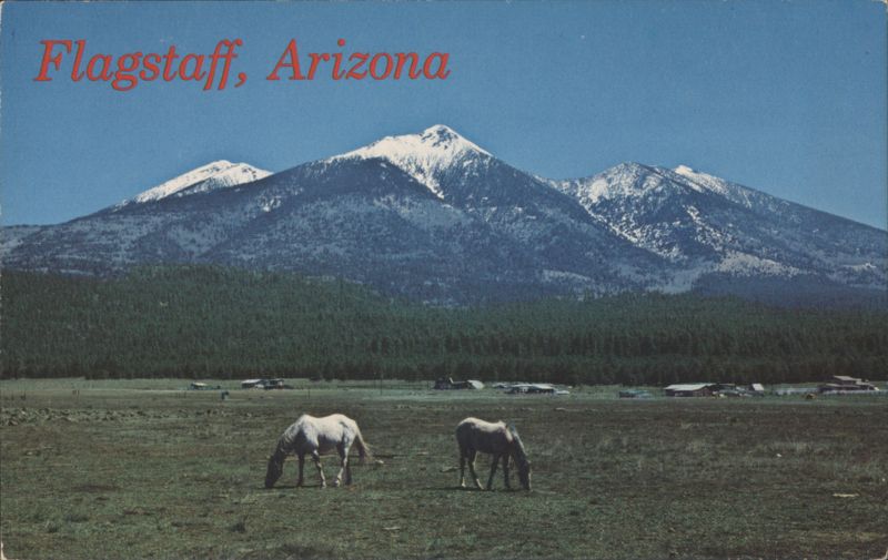 Flagstaff, Arizona Carlos Elmer