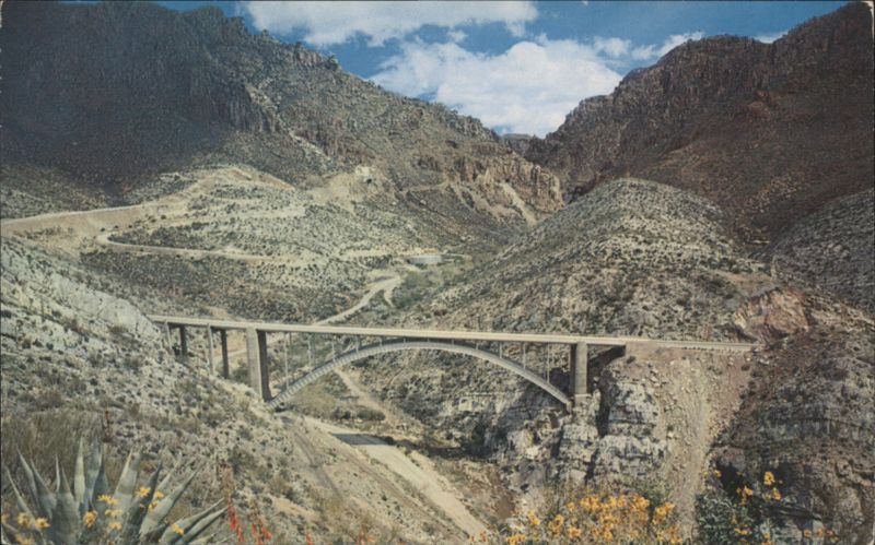 Queen Creek Canyon and Bridge Josef Muench Cactus & Desert Plants