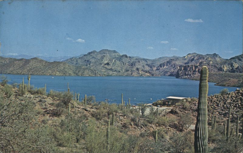 Saguaro Lake Cactus & Desert Plants
