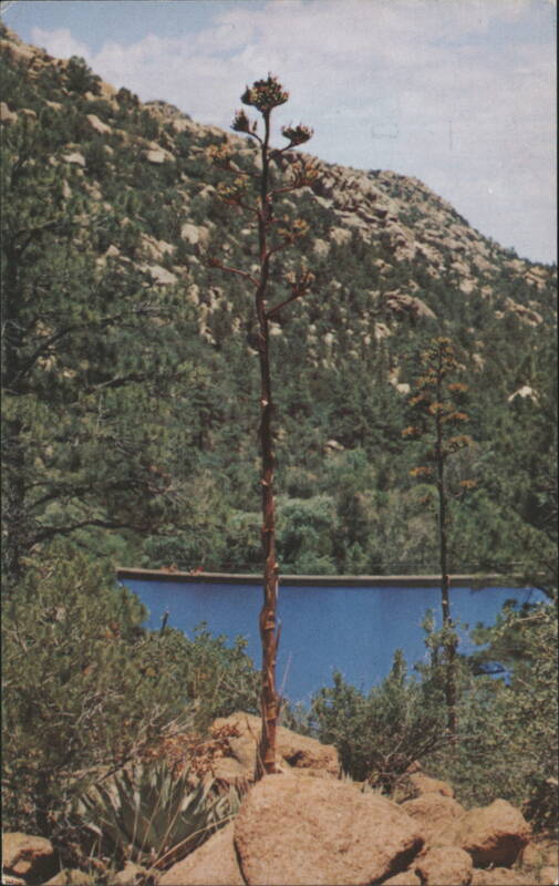 Granite Basin Lake Prescott Arizona Charles P. Kendall