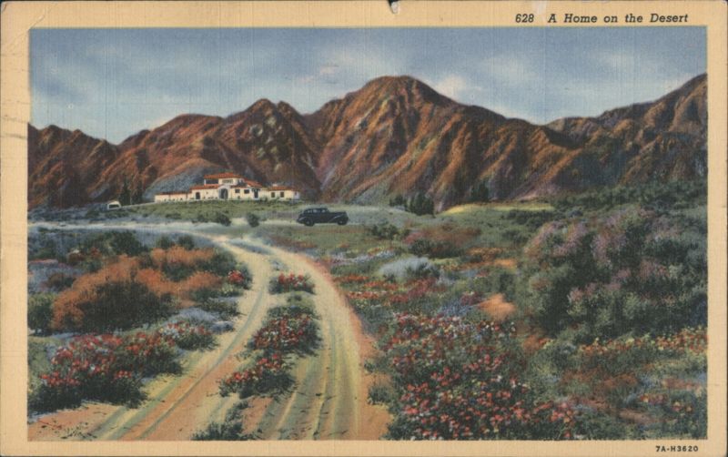 A Home on the Desert Cactus & Desert Plants