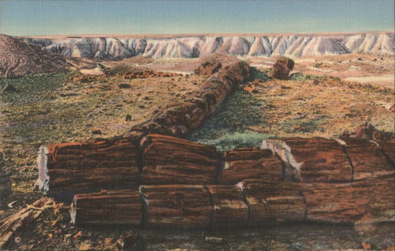 The Twin Sisters, Petrified Forest Petrified Forest National Park Arizona