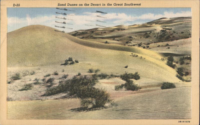 Sand Dunes on the Desert in the Great Southwest Cactus & Desert Plants