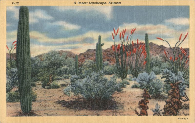 A Desert Landscape, Arizona