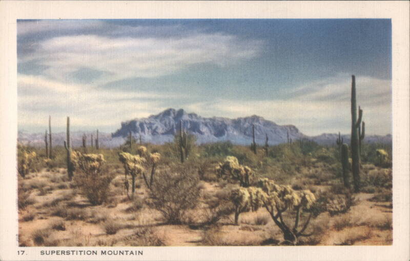 Superstition Mountain Cactus & Desert Plants