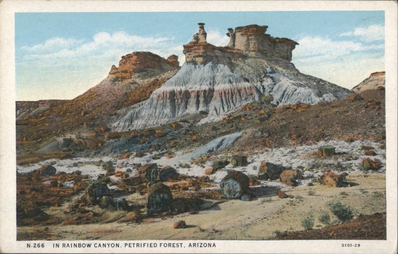 In Rainbow Canyon, Petrified Forest, Arizona