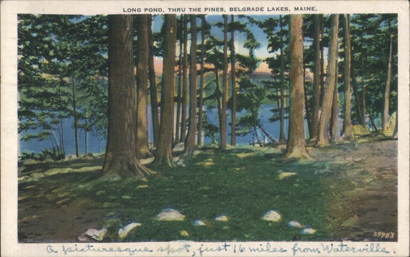 Long Pond, Thru the Pines, Belgrade Lakes, Maine