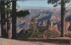 Point Imperial, Grand Canyon National Park Postcard