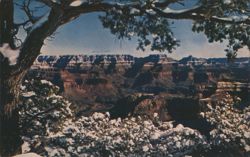 Grand Canyon National Park, Arizona Postcard