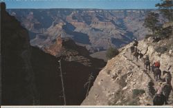 Bright Angel Trail, Grand Canyon, Arizona Postcard