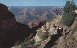 On Bright Angel Trail, Grand Canyon National Park Postcard