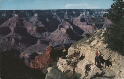 Bright Angel Trail, Grand Canyon, Arizona Postcard