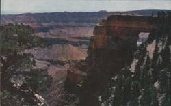 Angel's Window, Cape Royal, Grand Canyon National Park Postcard