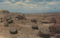 Petrified Logs in the Petrified Forest Postcard