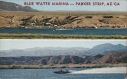 Blue Water Marina, Parker Strip, AZ/CA Postcard