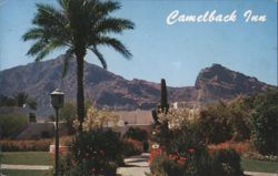 Camelback Inn, Near Phoenix, Arizona Postcard