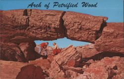 Arch of Petrified Wood Postcard