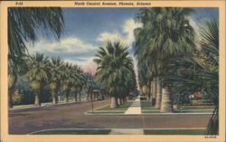 North Central Avenue, Phoenix Postcard