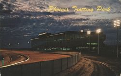 Phoenix Trotting Park, Litchfield Park, Arizona Postcard
