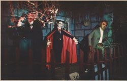 The Fascinating World of Horror Postcard