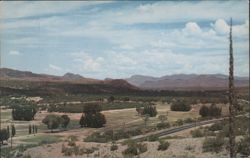 Miami Arizona Country Club Golf Course Postcard