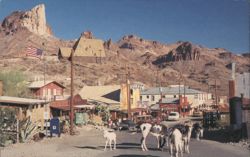 Oatman, Arizona Postcard