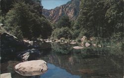 Beautiful Oak Creek Canyon, Arizona Postcard
