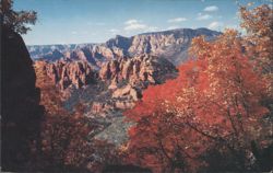 View From Schnebly Hill, Oak Creek Canyon, Arizona Postcard