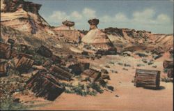 Petrified Wood and Erosions, Petrified Forest, Arizona Postcard