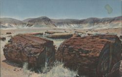 Agatized Logs, Petrified Forest, Arizona Postcard