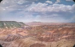 Painted Desert, Holbrook, Arizona Postcard