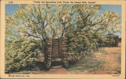 Under the Spreading Palo Verde, the Desert Biffy Stands Postcard