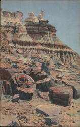 The Snow Lady, Near Eagle Nest Rock, Petrified Forest Postcard