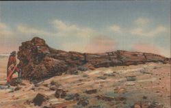 Nez by the Big Log, Petrified Forest Postcard