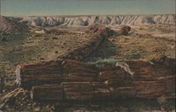 Twin Sisters Petrified Forest National Park AZ Postcard Postcard