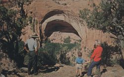 Betatakin Ruin, Navajo National Monument Postcard