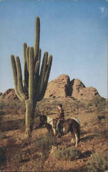 Giant Saguaro Cactus Postcard